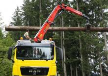 Rönkrakodó daruk Epsilon S 300 L 83 HPLS