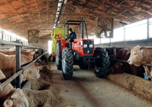 Tápkeverők Storti Husky DS 70