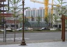 Toronydaruk - merevgém - felülforgó Liebherr 256 HC-8,85-7x4,14+GTS