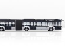 Városi buszok Mercedes-Benz Citaro G