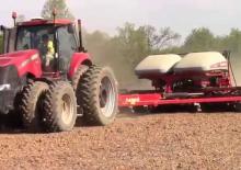 Vetőgépek Case IH Early Riser 1255 12R30